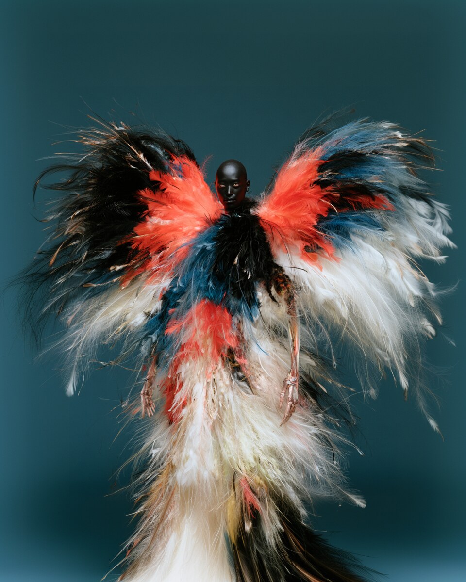 Full-length figure surrounded by vast black, white, blue and coral feathers